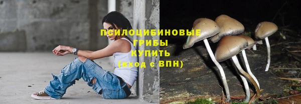 бошки Абаза