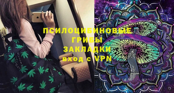 бошки Абаза